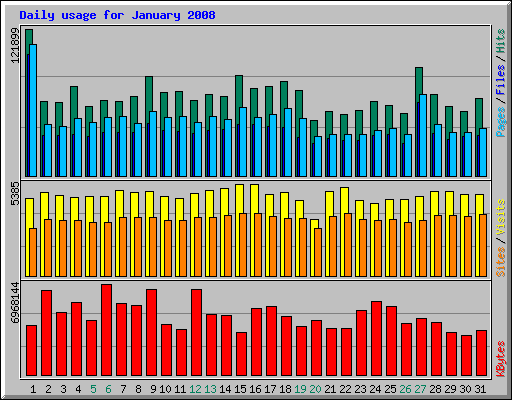 Daily usage for January 2008