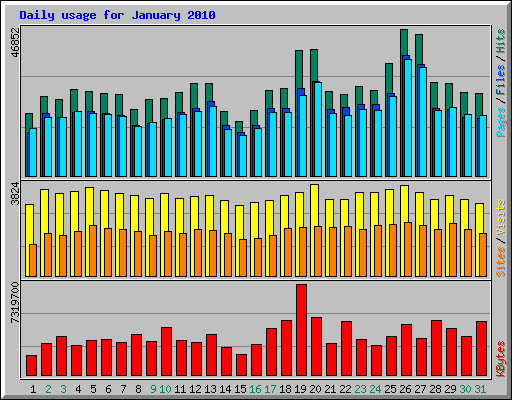 Daily usage for January 2010