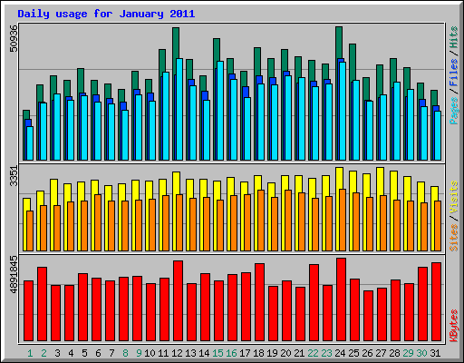 Daily usage for January 2011