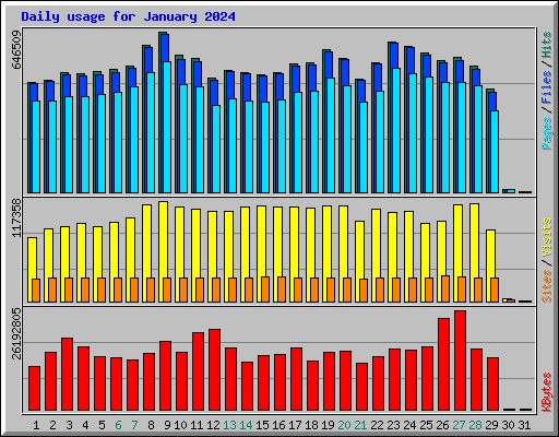 Daily usage for January 2024