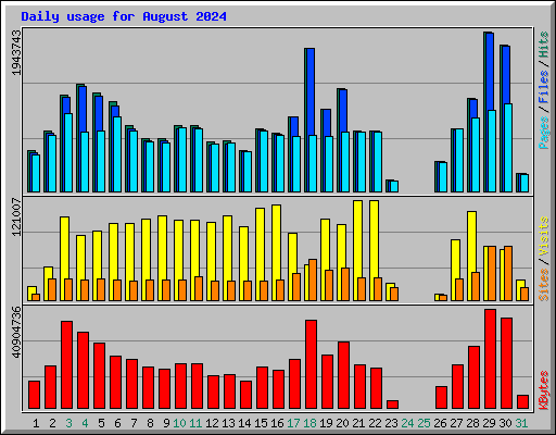 Daily usage for August 2024