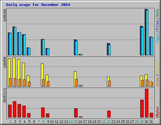 Daily usage for December 2024