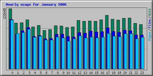 Hourly usage for January 2006