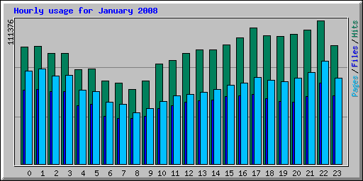 Hourly usage for January 2008