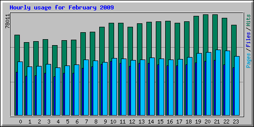 Hourly usage for February 2009