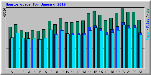 Hourly usage for January 2010