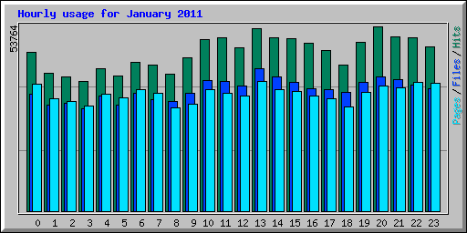 Hourly usage for January 2011