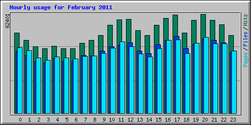 Hourly usage for February 2011