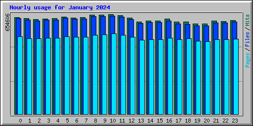 Hourly usage for January 2024