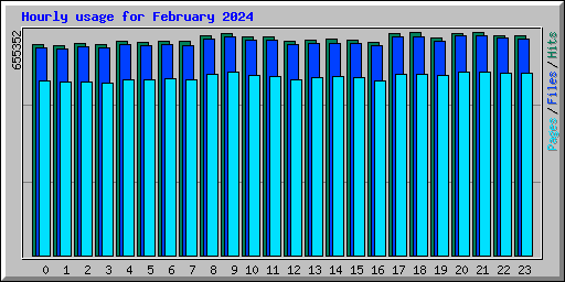 Hourly usage for February 2024