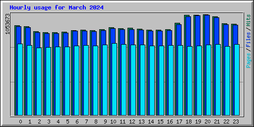 Hourly usage for March 2024