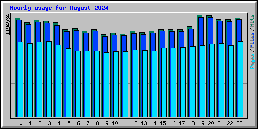 Hourly usage for August 2024