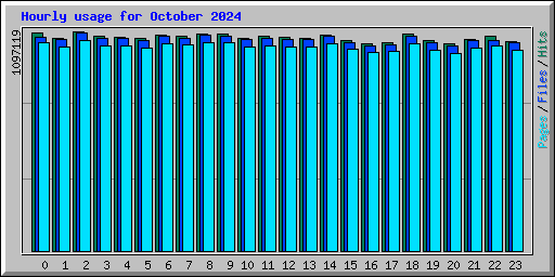 Hourly usage for October 2024