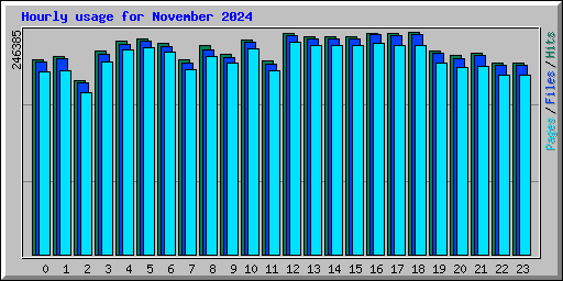 Hourly usage for November 2024