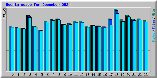 Hourly usage for December 2024