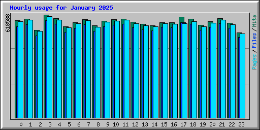 Hourly usage for January 2025