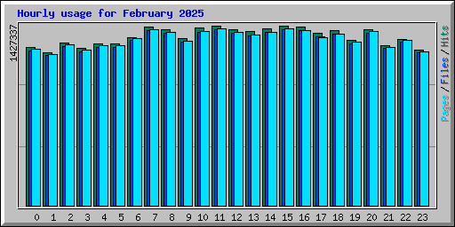 Hourly usage for February 2025