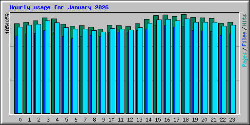 Hourly usage for January 2026