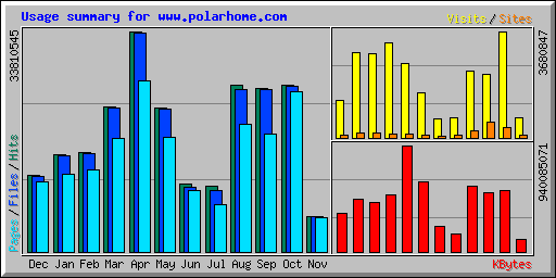 Usage summary for www.polarhome.com